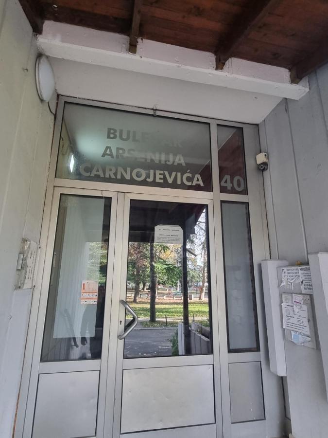 Hawaii- 2 Bdr, Arena, Sava Centar, Free Parking Leilighet Beograd Eksteriør bilde
